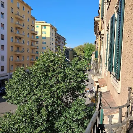 Wonderful Garden At Colosseo *